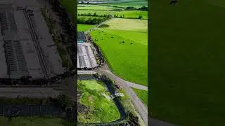 NEW VIDEO: Milking 300 Cows on 145 HA with a Key Focus on Efficiency | Patrick Dooley