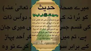 Respect and Honor of the Noble  (Sahaba) &ndash; A Hadith of the Prophet ﷺ #islamicshorts #hadees