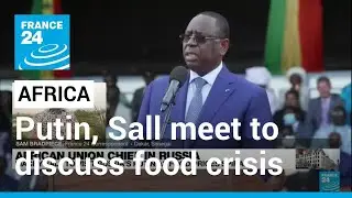 Putin, African Union head meet Friday to discuss food crisis &bull; FRANCE 24 English