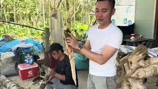 phu điện mới hạ cây trầm ăn tốc đặc thu mua tốc kiến tự nhiên 