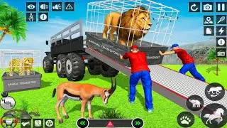 Animal Cargo Truck Driving 3D Game play 2024 🦁🚛 | Animal Cargo Game 3D 2024 