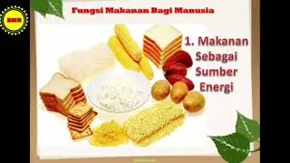 Budaya Melayu Riau Kelas 4 ( Fungsi Makanan )