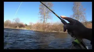 Fly Fishing The American River For Steelhead (skunk)
