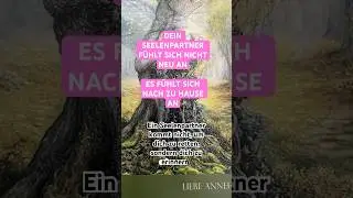 #liebe #bewusstsein #spiritualit&auml;t #love #seelenweg #seelenpartner #tarotreading #spirituell