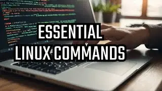 Unleashing Essential Linux Commands: A Must-Know Guide for All!