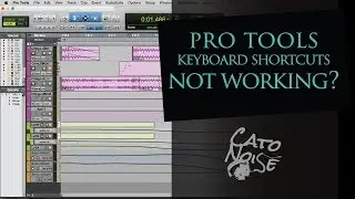 Pro Tools Basics: Pro Tools Keyboard Shortcuts Aren’t Working? Keyboard Commands Focus Mode!