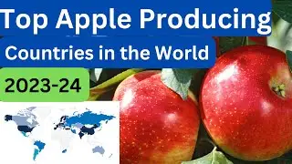 Top Apple Producing Countries in the World 2023-24 | @pradhanseducation