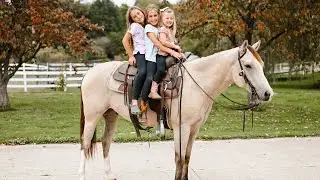 &ldquo;Squirt&rdquo; Kid Tested, Mother Approved Buckskin Gelding- Masters Equine