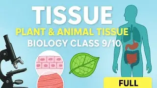 SCIENCE GROUP D SPECIAL DISCUSSION CLASSES PLANT TISSUE IN HINDI