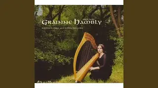 The Wind off the Lake/John McHugh's/Gallant Tipperary Boys