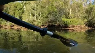 Paddling Mangrove Creek, N.S.W. part 1, (Filmed in 4K with 60Fps)
