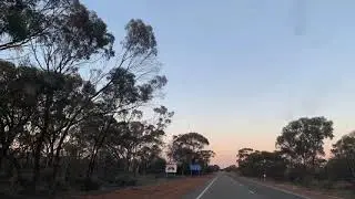 Quairading Conservation Reserve/wandoo, york, salmon gum forests/dry creek 29/8/2020 Wheat Belt WA
