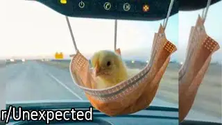 r/Unexpected | Didn't think you could use a mask for that...