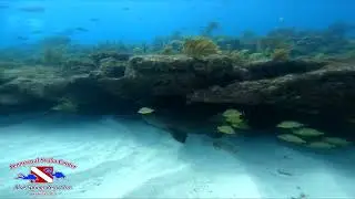 Key Largo 2020 highlights