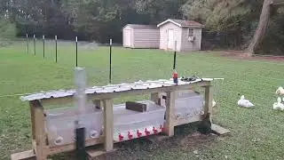 Ep 4. Duck Pen t-post fence install