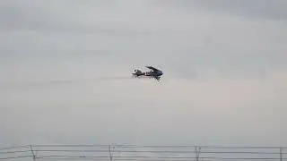 Albatros Oeffag D.III replika