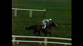 1988 Lee & Co Shop Local Extended Handicap Chase