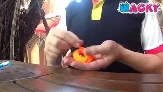 Magic Wacky Worm