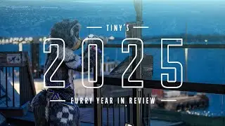 What a Year! | Tiny&rsquo;s 2025 Furry Year In Review