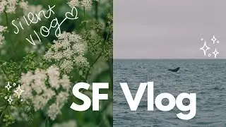 WEEKEND IN SF 🌉 | WHALE WATCHING IN MONTEREY BAY 🐳 HIKING LANDS END 🥾 | SILENT VLOG | LALARI GARZA