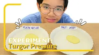 How to Demonstrate Turgor Pressure, A Science Experiment