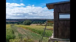 Bejagungsschneisen in der Agrarlandschaft &ndash; Anlage und Bewirtschaftung