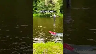 Собака лает на rc модель катера на радиоуправлении #funny #hobby #rc #lake #reels #лето #речка