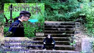 09. Bboy Ninja - Breath of the Moon