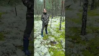МЕДВЕДЬ ЗА СПИНОЙ! Я ОБОСРАЛСЯ