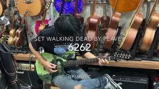 WALKING DEAD BY PEAVEY