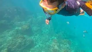 Diving & Snorkeling in Cabo