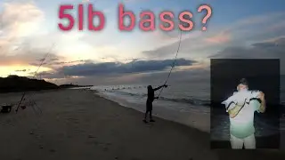 CATCHING 5LB BASS? BEACH FISHING FOR BASS  WITH THE SEAPALLING BASS MEN. 