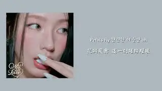 【韓繁中字】MIYEON (미연) - Petal shower