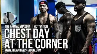 BODYBUILDING MOTIVATION | CHEST & ARMS DAY - XTREMOTIVATION