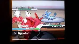 Pokemon BW WiFi Battle: Gyarados Dragon Dance
