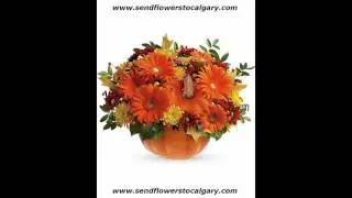 Send flowers from Czech Republic to Calgary Alberta Canada