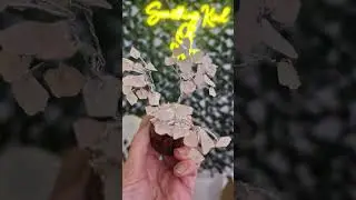 Rose Quartz Tree