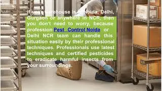 How a Commercial Pest Control Noida team can protect you from a big disaster