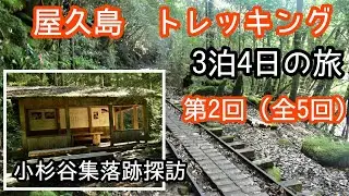 第2回（全5回） 屋久島トレッキングの旅 @アウトドア山大好きちゃんねる