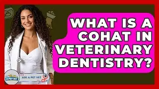 What Is A COHAT In Veterinary Dentistry? - Ask A Pet Vet