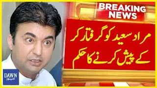 Arrest Warrant Issued For PTI Leader Murad Saeed | Breaking News | Dawn News