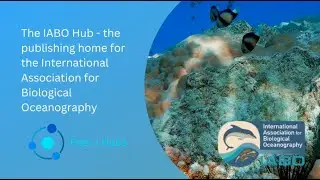 Welcome to the IABO Hub