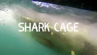 South Africa Adventures: Shark Cage