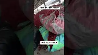 Lal mirch king dry red chilli export quality wholesale market red chilli bedia mirchi mandi #chilli