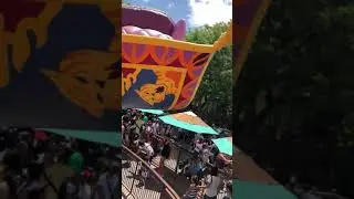 Aladdin the ride at Walt Disney World
