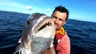 Reef fishing catching BIG fish on a jet ski!