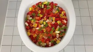 Will it Flush? - Gummy Bears