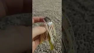 Z-man Original Chatterbait! #shorts