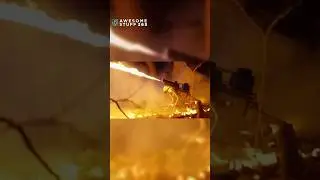 Dog that Delivers Firepower on Demand! | Awesome Stuff 365