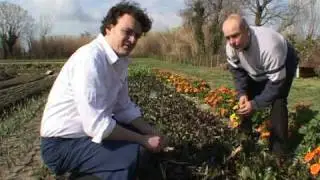 Organic the new flavour for French elite cuisine